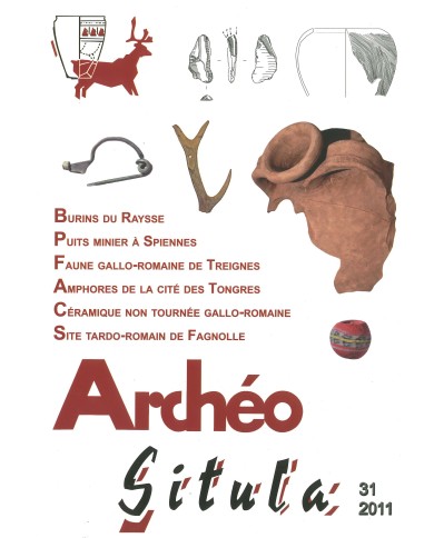 Archéo-Situla 31 Archéo-Situla 31