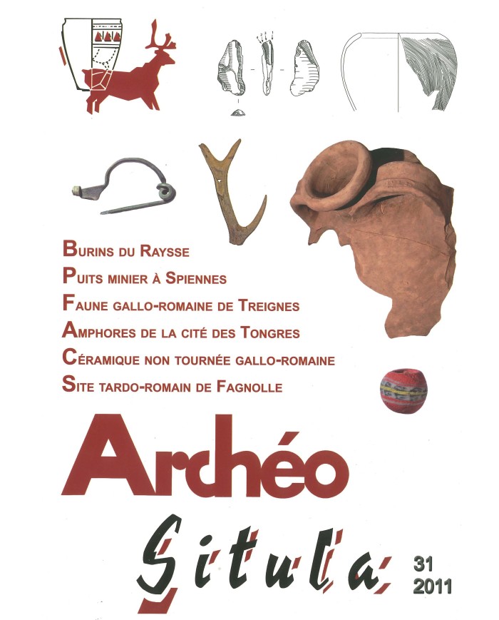 Archéo-Situla 31
