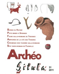Archéo-Situla 31