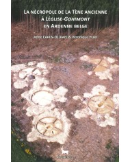 Artefacts 12 - Le sanctuaire tardo-romain du "Bois des Noël" à Matagne-la-Grande