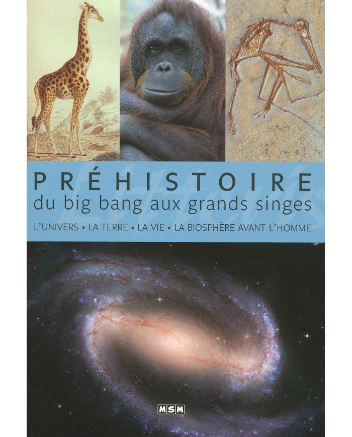 Préhistoire - Du big bang aux grands singes