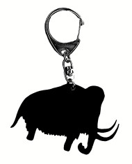 Panneau magnétique animaux