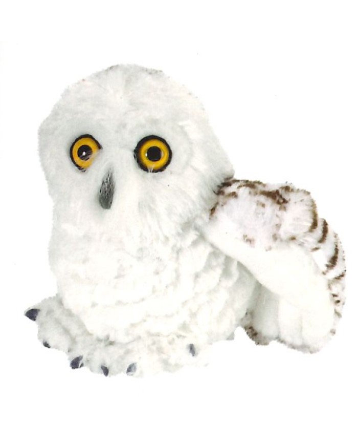 Peluche - petite chouette blanche