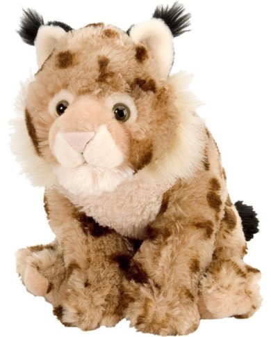 Peluche - lynx Peluche - lynx