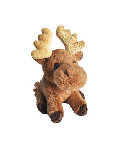 Peluche - petit élan