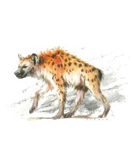 Carte postale - Lion des cavernes