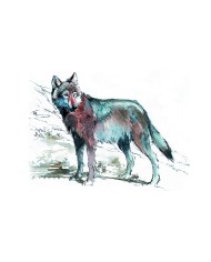 Carte postale - Lion des cavernes