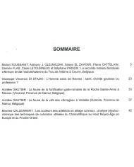 Archéo-Situla 30 (2010)