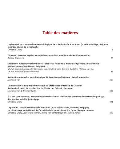 Archéo-Situla 40 : Le gisement karstique archéo-paléontologique de la Belle-Roche à Sprimont