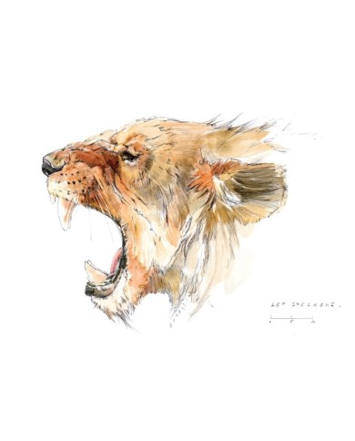 Magnet - Tête lion des cavernes