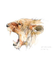 Magnet - Tête lion des cavernes