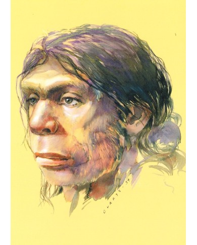 Carte postale - Homo Neanderthalensis
