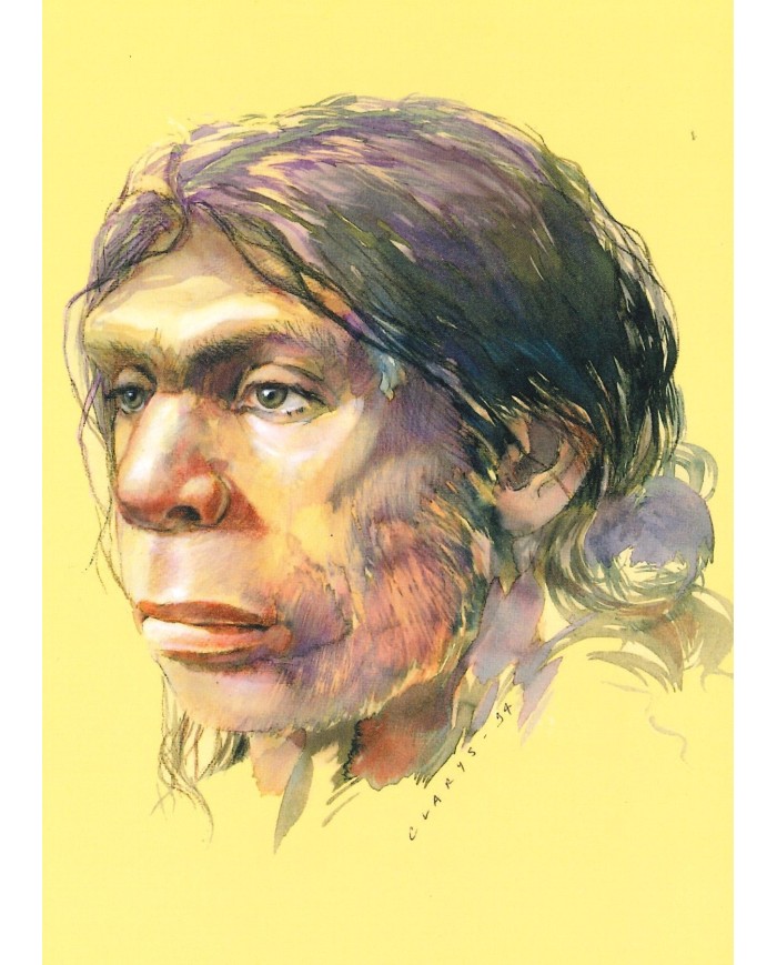 Carte postale - Homo Neanderthalensis