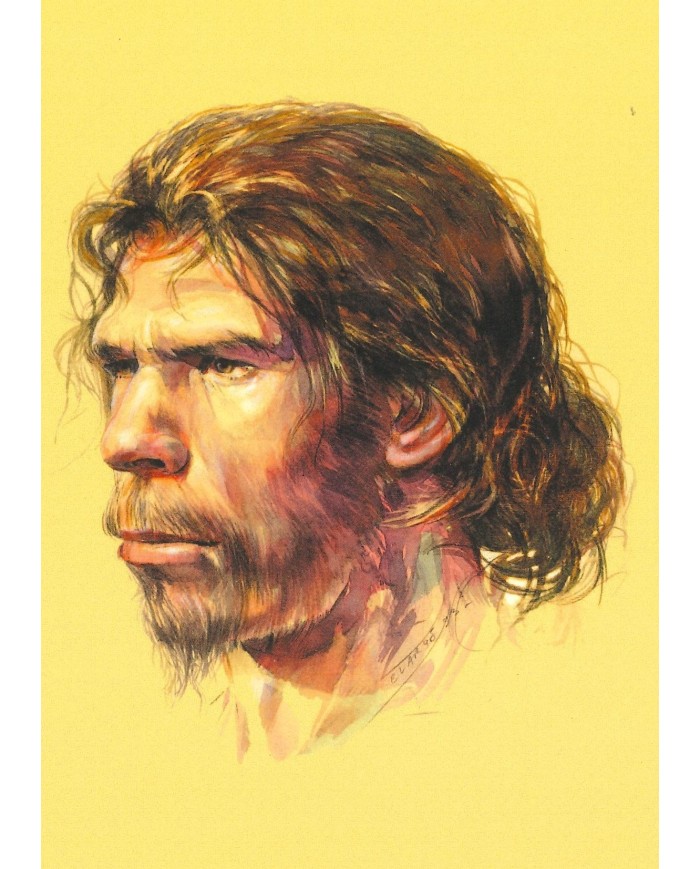 Carte postale - Homo Sapiens Cro-Magnon