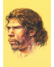 Carte postale - Homo Sapiens Cro-Magnon