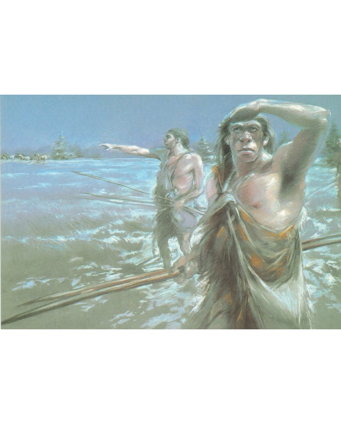 Carte postale - Traque aux chevaux