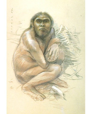 Carte postale - Homo Habilis Femme Carte postale - Homo Habilis Femme