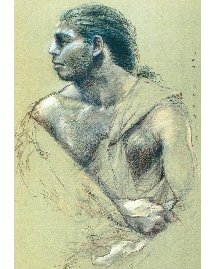 Carte postale - Homo Sapiens homme