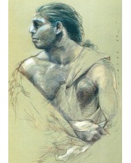 Carte postale - Homo Sapiens jeune femme