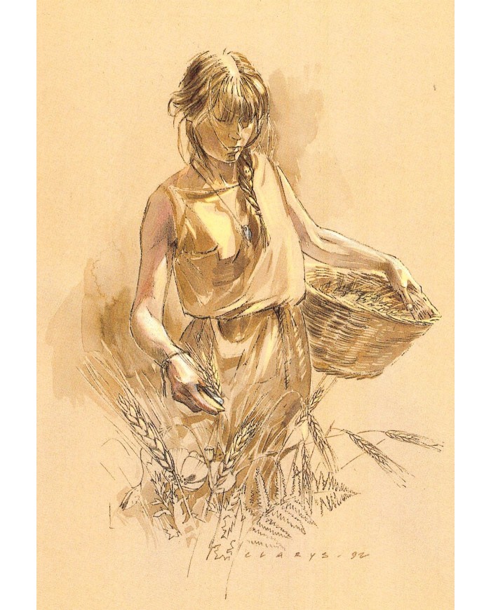 Carte postale - Moissonneuse