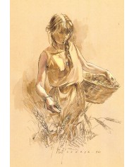 Carte postale - Moissonneuse