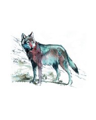 Magnet - Lion des cavernes