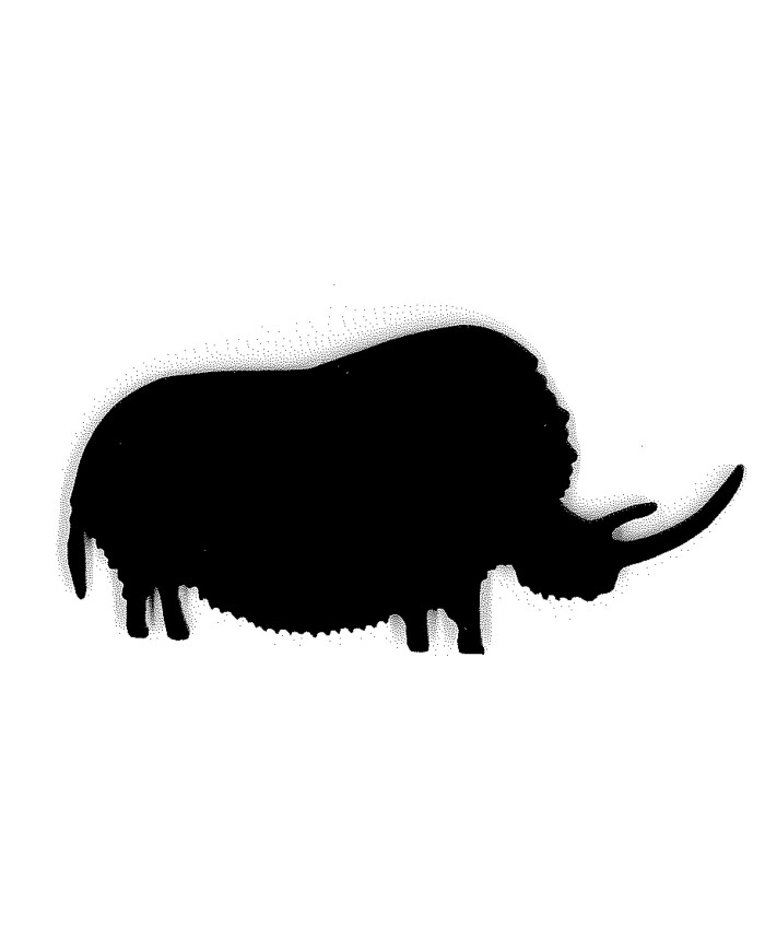 Magnet - Rhinocéros noir